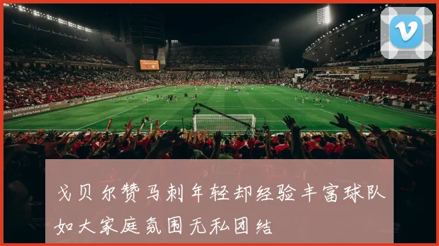 戈贝尔赞马刺年轻却经验丰富球队如大家庭氛围无私团结