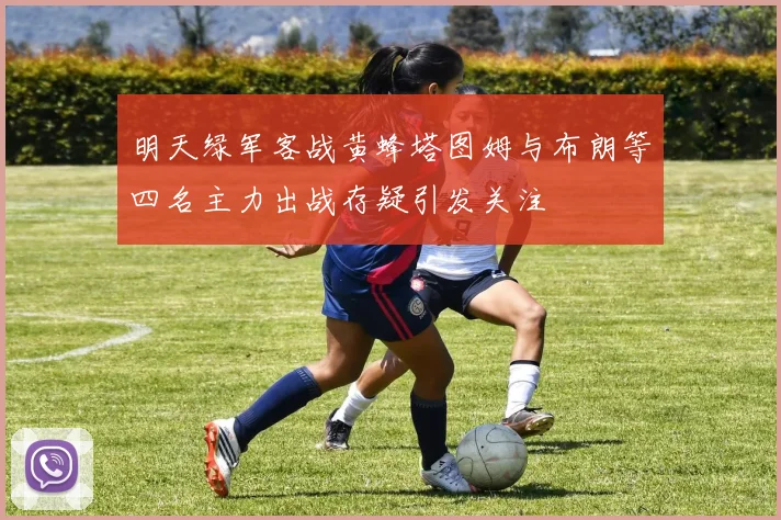 明天绿军客战黄蜂塔图姆与布朗等四名主力出战存疑引发关注